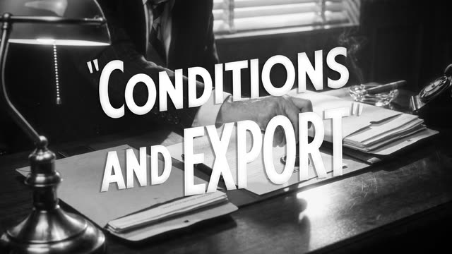 Conditions and Export — Payment terms, usage rights and cancellation clauses, then one-click PDF or XLSX.